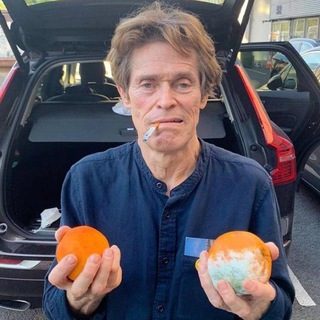 Telegram Channel logo etotmem. Free Telegram Channel Analytics