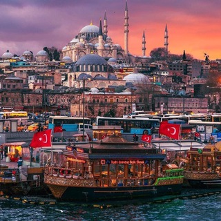 Telegram Channel logo nedvizhimost_stambul. Free Telegram Channel Analytics