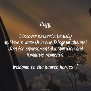 Логотип Телеграм канала Nonsense_v2. Бесплатная аналитика Telegram каналов