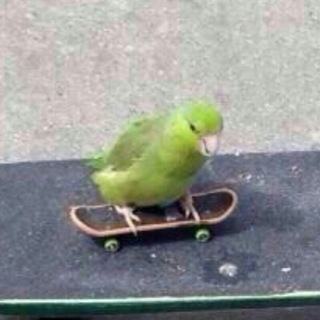 Telegram Channel logo kartinkothreadtg. Free Telegram Channel Analytics