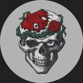 Логотип Телеграм канала . Бесплатная аналитика Telegram каналов