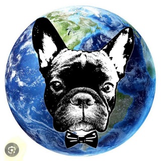 Telegram Channel logo +OpYGg2e44ZAzZTQy. Free Telegram Channel Analytics