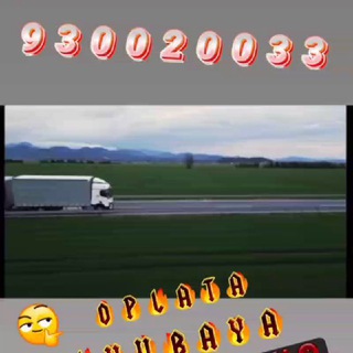 Telegram Channel logo LOGISTICA_UZBEKISTAN. Free Telegram Channel Analytics