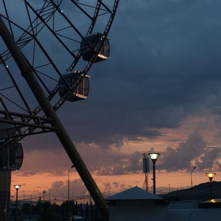 Telegram Channel logo тнє иιккι ☘️. Free Telegram Channel Analytics