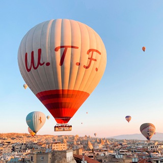 Telegram Channel logo What The Fact 👀. Free Telegram Channel Analytics