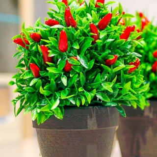 Логотип Телеграм канала +sLS-q-HyoLkyODky. Бесплатная аналитика Telegram каналов