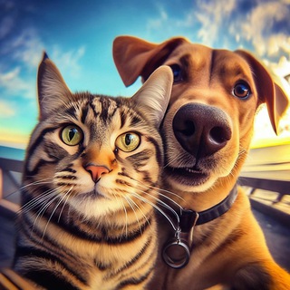 Логотип Телеграм канала . Бесплатная аналитика Telegram каналов