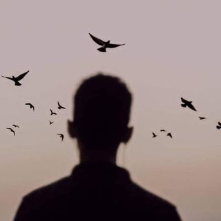 Логотип Телеграм канала therepyyy. Бесплатная аналитика Telegram каналов