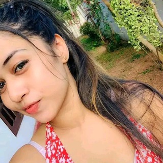 Telegram Channel logo . Free Telegram Channel Analytics