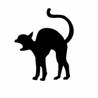 Логотип Телеграм канала . Бесплатная аналитика Telegram каналов