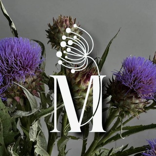 Telegram Channel logo +f9hJsAl6y3wxMjAy. Free Telegram Channel Analytics