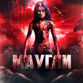 Telegram Channel logo +Qa6SbJ-Y4akxNDcy. Free Telegram Channel Analytics