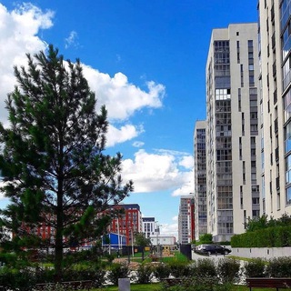 Логотип Телеграм канала EBeregChat. Бесплатная аналитика Telegram каналов