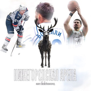 Логотип Телеграм канала nizhnysport. Бесплатная аналитика Telegram каналов