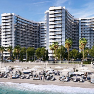 Логотип Телеграм канала . Бесплатная аналитика Telegram каналов