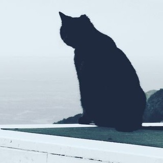 Логотип Телеграм канала . Бесплатная аналитика Telegram каналов