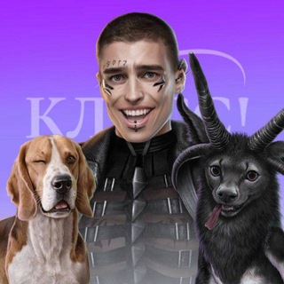 Логотип Телеграм канала classligam. Бесплатная аналитика Telegram каналов