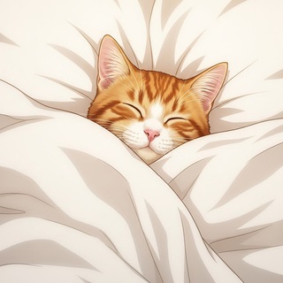 Telegram Channel logo mylifesoeasy. Free Telegram Channel Analytics