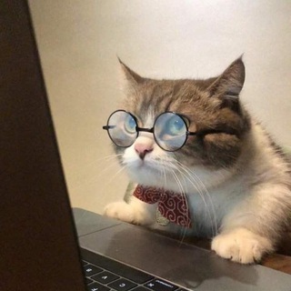 Telegram Channel logo intrsnv. Free Telegram Channel Analytics