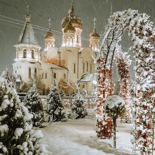 Telegram Channel logo nevinomyssk_online. Free Telegram Channel Analytics