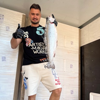 Логотип Телеграм канала . Бесплатная аналитика Telegram каналов