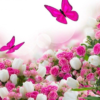 Логотип Телеграм канала +Yr7ujYcJw6VkMjgy. Бесплатная аналитика Telegram каналов