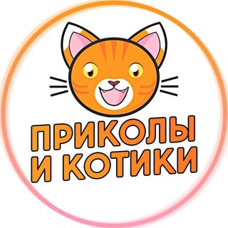 Логотип Телеграм канала prikotik. Бесплатная аналитика Telegram каналов