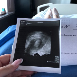 Telegram Channel logo surmama2024. Free Telegram Channel Analytics