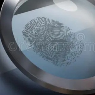 Логотип Телеграм канала . Бесплатная аналитика Telegram каналов