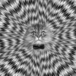 Telegram Channel logo Illusion of deception. Free Telegram Channel Analytics