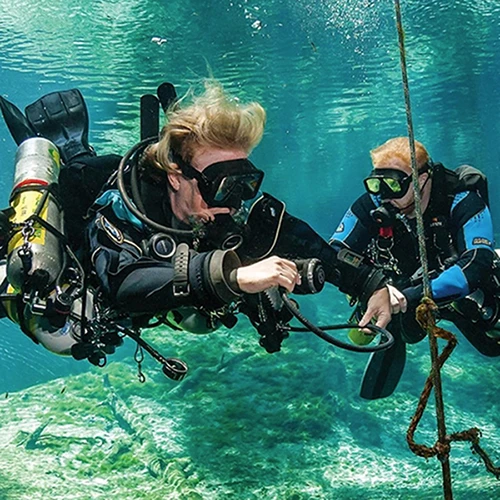 Логотип Телеграм канала id773103689945_biz. Бесплатная аналитика Telegram каналов