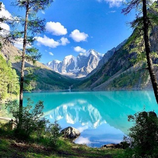 Логотип Телеграм канала altay5. Бесплатная аналитика Telegram каналов