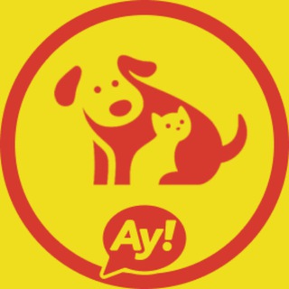 Telegram Channel logo viet_pets. Free Telegram Channel Analytics