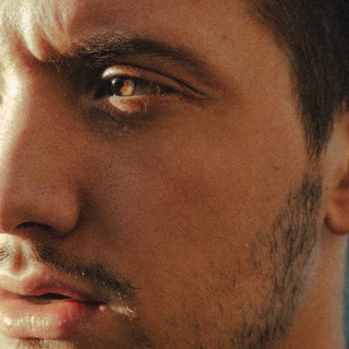 Telegram Channel logo grechaofficial. Free Telegram Channel Analytics