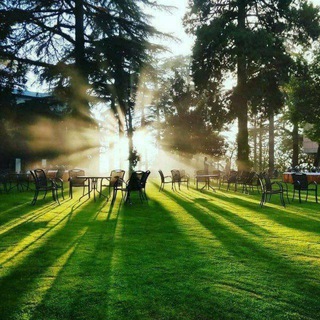 Логотип Телеграм канала upscstatus. Бесплатная аналитика Telegram каналов