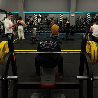 Логотип Телеграм канала . Бесплатная аналитика Telegram каналов