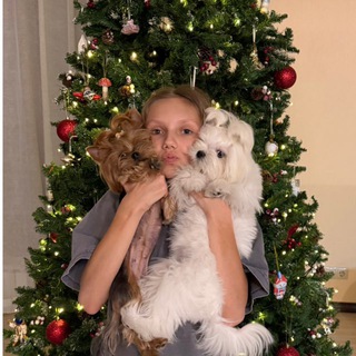 Логотип Телеграм канала . Бесплатная аналитика Telegram каналов