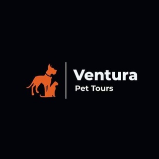 Telegram Channel logo venturapettours. Free Telegram Channel Analytics