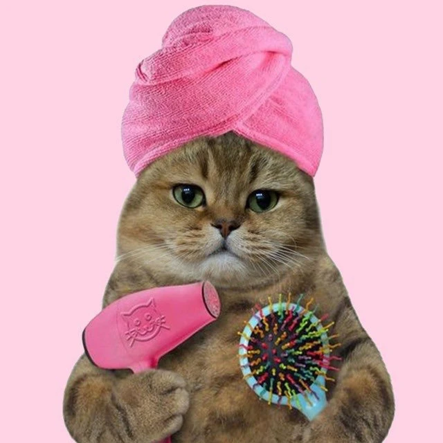 Логотип Телеграм канала girls_womens_humor. Бесплатная аналитика Telegram каналов