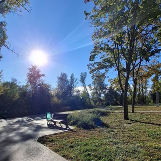 Логотип Телеграм канала . Бесплатная аналитика Telegram каналов