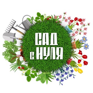 Логотип Телеграм канала . Бесплатная аналитика Telegram каналов