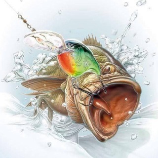 Логотип Телеграм канала . Бесплатная аналитика Telegram каналов