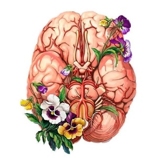 Логотип Телеграм канала test_anatomy. Бесплатная аналитика Telegram каналов