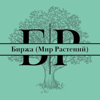 Telegram Channel logo birzhamirrasteniy. Free Telegram Channel Analytics