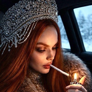 Telegram Channel logo . Free Telegram Channel Analytics