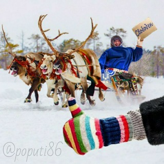 Telegram Channel logo poputi86. Free Telegram Channel Analytics