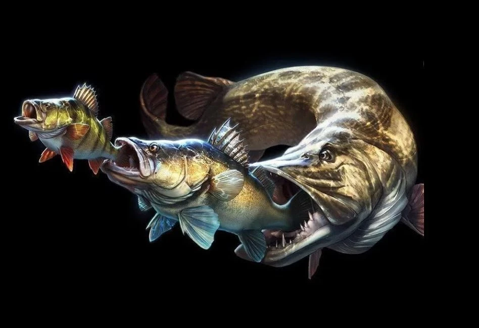 Telegram Channel logo fishfearme. Free Telegram Channel Analytics