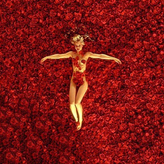 Логотип Телеграм канала . Бесплатная аналитика Telegram каналов