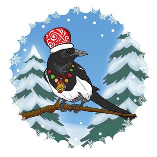 Логотип Телеграм канала Сорока-белобока. Бесплатная аналитика Telegram каналов