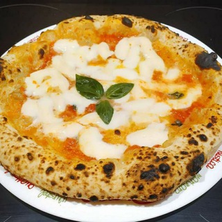 Telegram Channel logo PIZZA NETWORK🍕. Free Telegram Channel Analytics